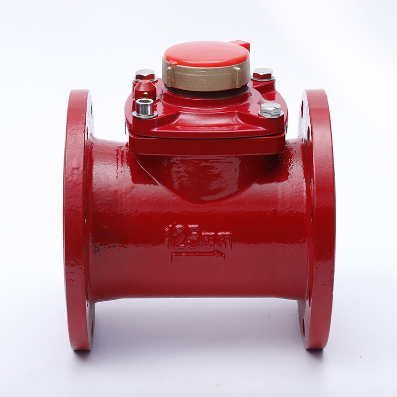 Woltmann Water Meter